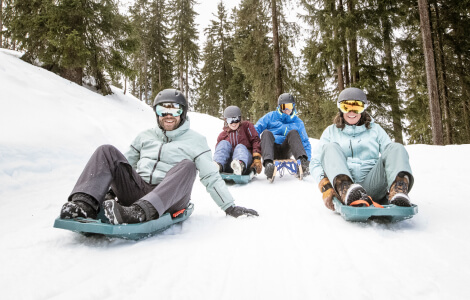 Si te interesan las tablas de snowboard, te interesa también nuestros productos de trineo